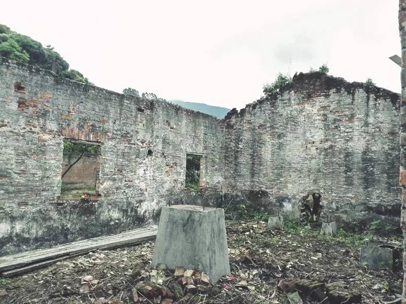 廣州·菁木山舍，有個(gè)木屋開(kāi)滿鮮花看花開(kāi)花落