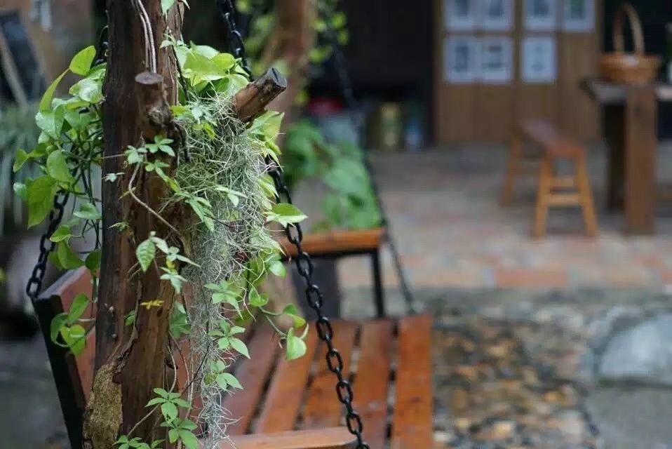 廣州·菁木山舍，有個(gè)木屋開滿鮮花看花開花落