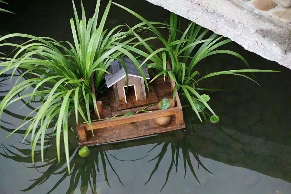 廣州·菁木山舍，有個(gè)木屋開滿鮮花看花開花落