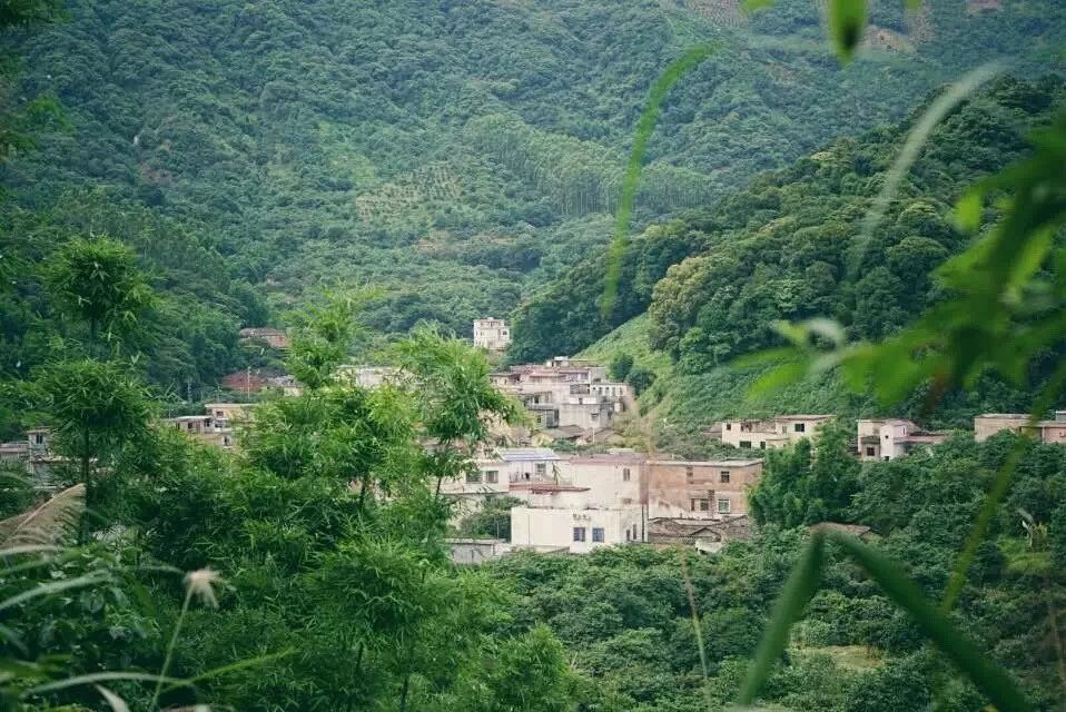 廣州·菁木山舍，有個(gè)木屋開滿鮮花看花開花落