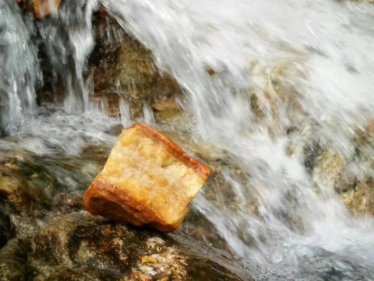 廣州·菁木山舍，有個(gè)木屋開滿鮮花看花開花落