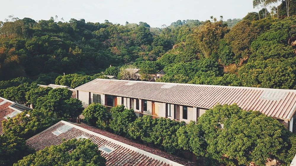 廣州·菁木山舍，有個木屋開滿鮮花看花開花落