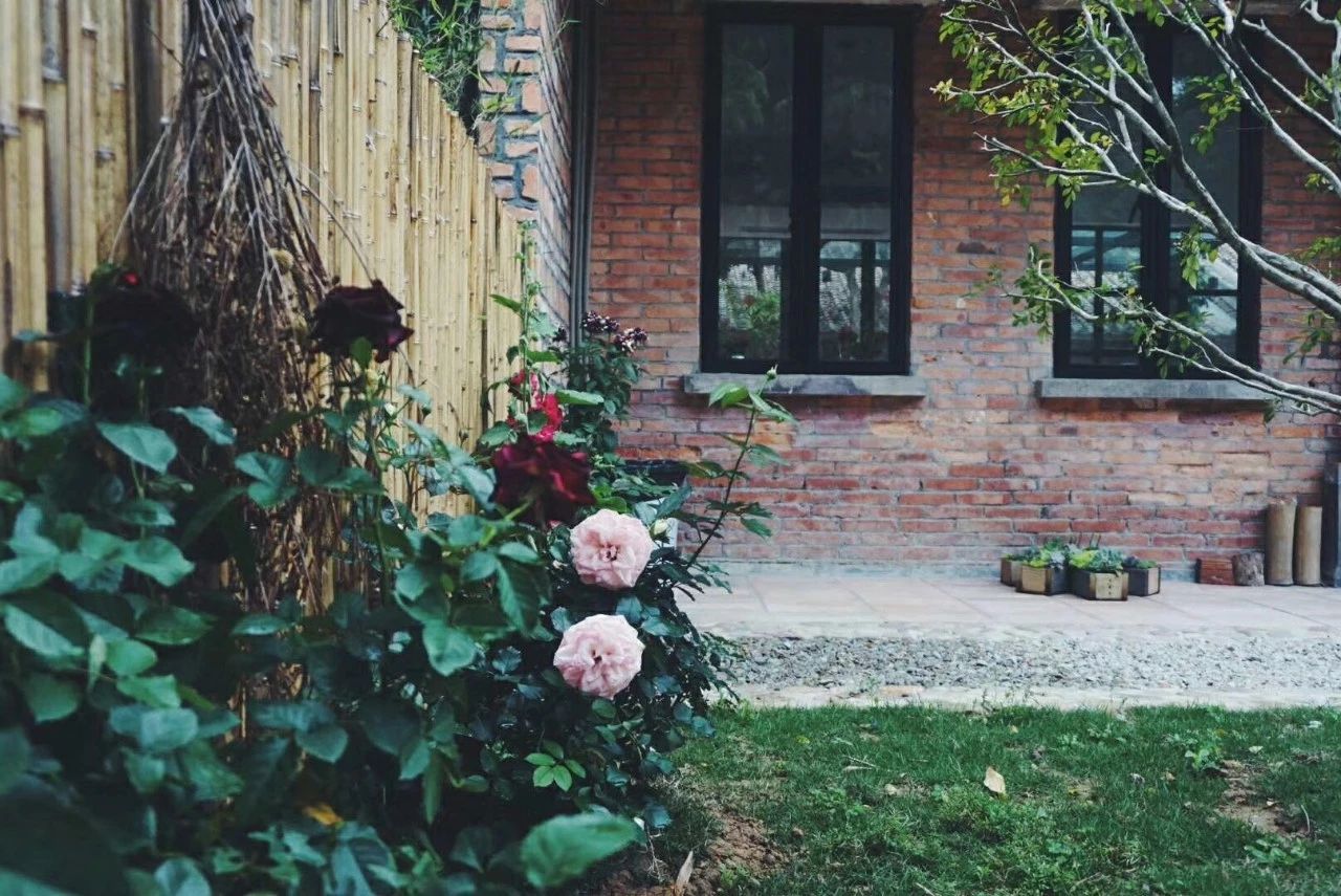 廣州·菁木山舍，有個木屋開滿鮮花看花開花落