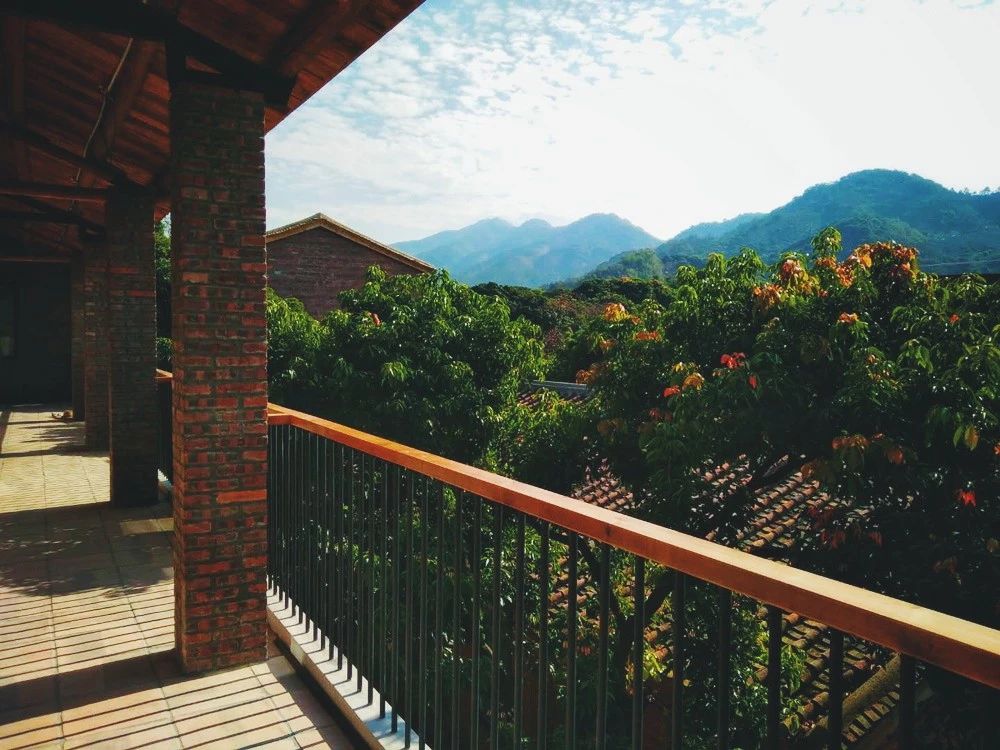 廣州·菁木山舍，有個木屋開滿鮮花看花開花落