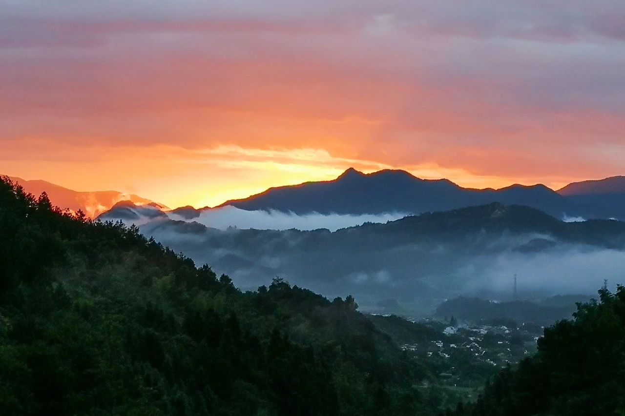 一音禪師的佛系生活：獨自修行活在當下！