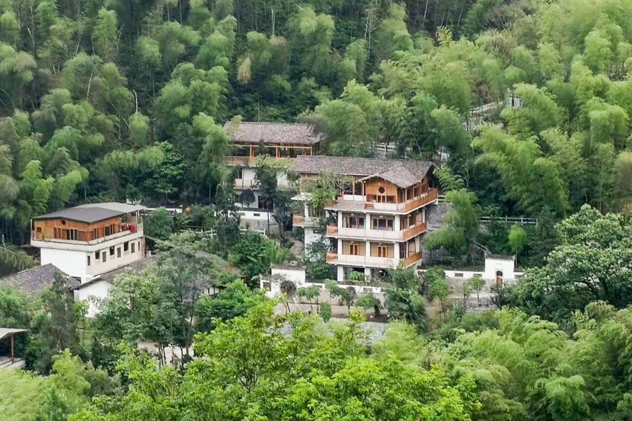 一音禪師的佛系生活：獨(dú)自修行活在當(dāng)下！