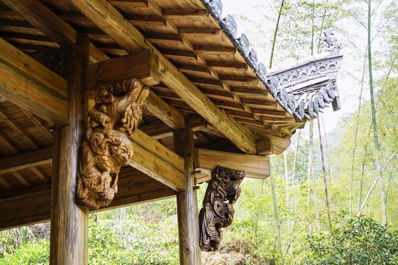 一音禪師的佛系生活：獨(dú)自修行活在當(dāng)下！