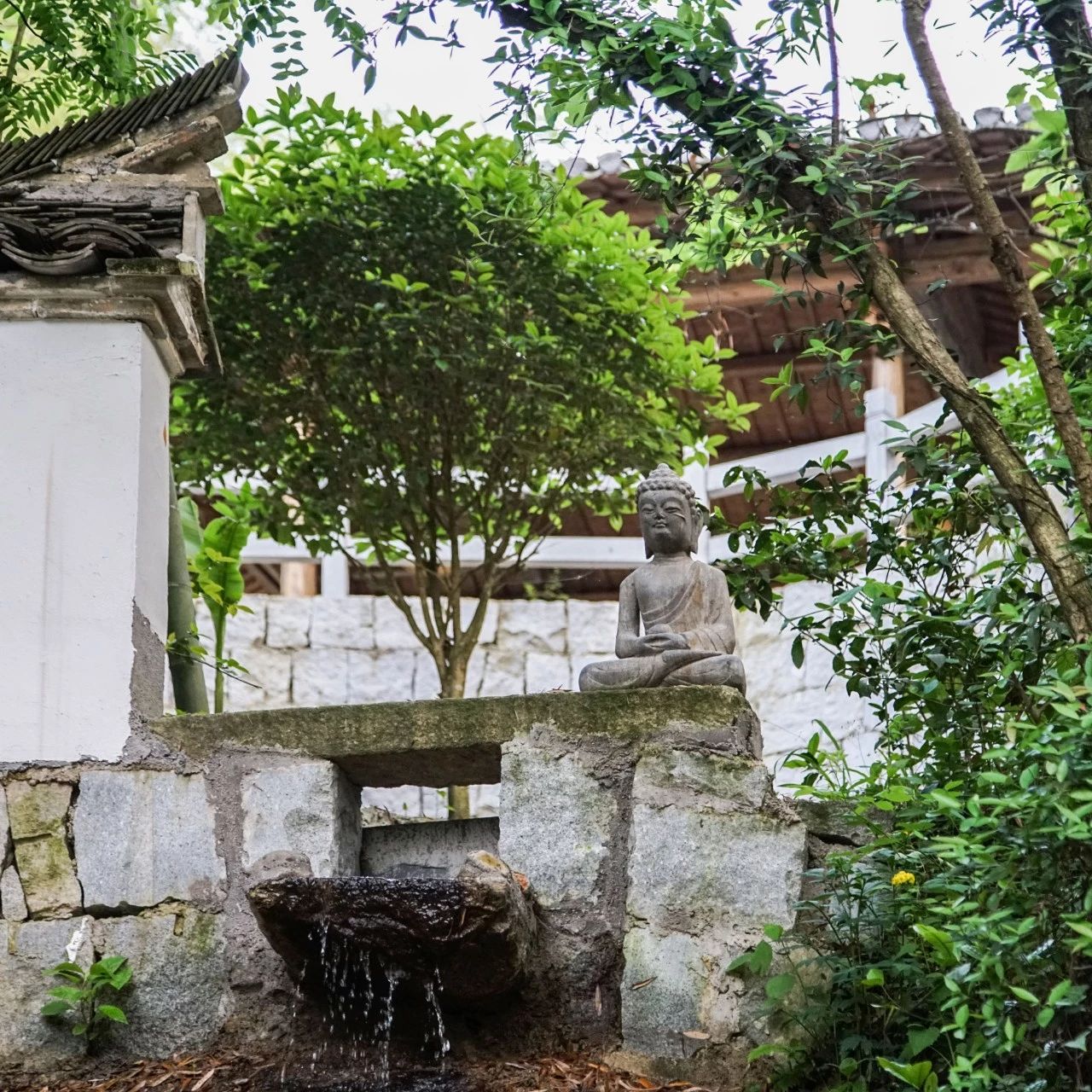 一音禪師的佛系生活：獨(dú)自修行活在當(dāng)下！