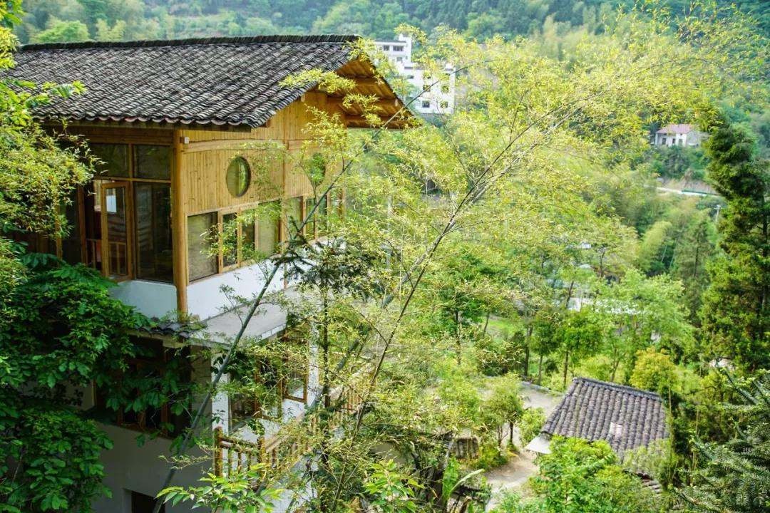 一音禪師的佛系生活：獨自修行活在當下！