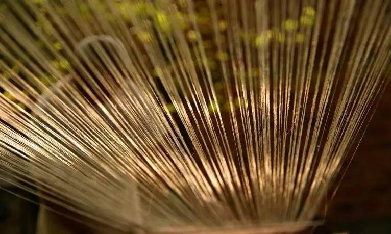 中國最古老布料：夏布微涼款款起舞