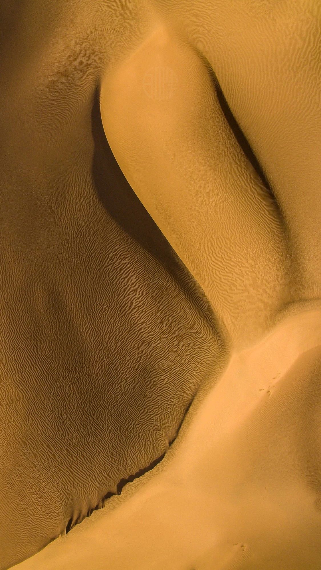 驚艷匠心啟航閱讀景：發(fā)現(xiàn)未知的美！