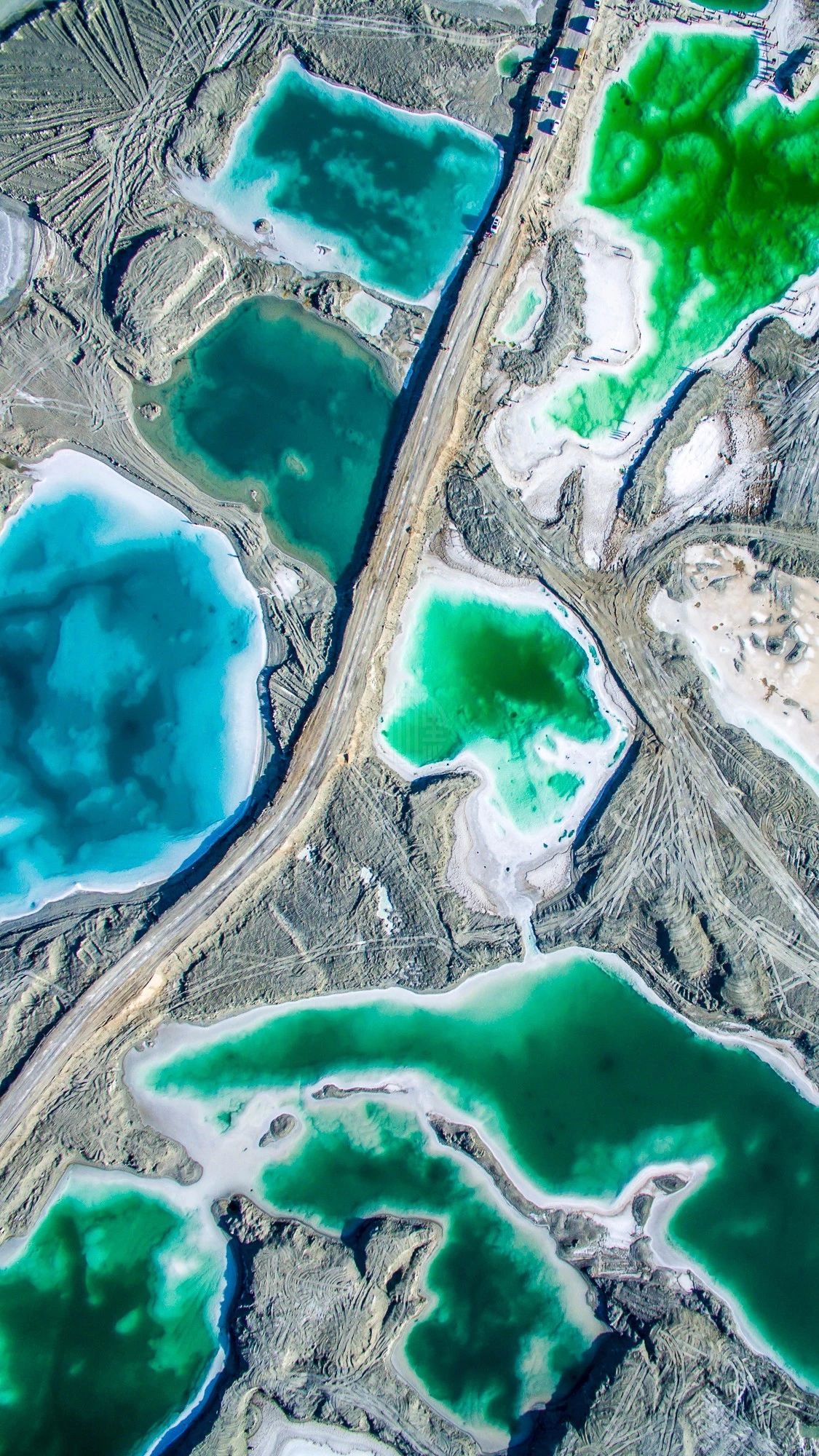 驚艷匠心啟航閱讀景：發(fā)現(xiàn)未知的美！