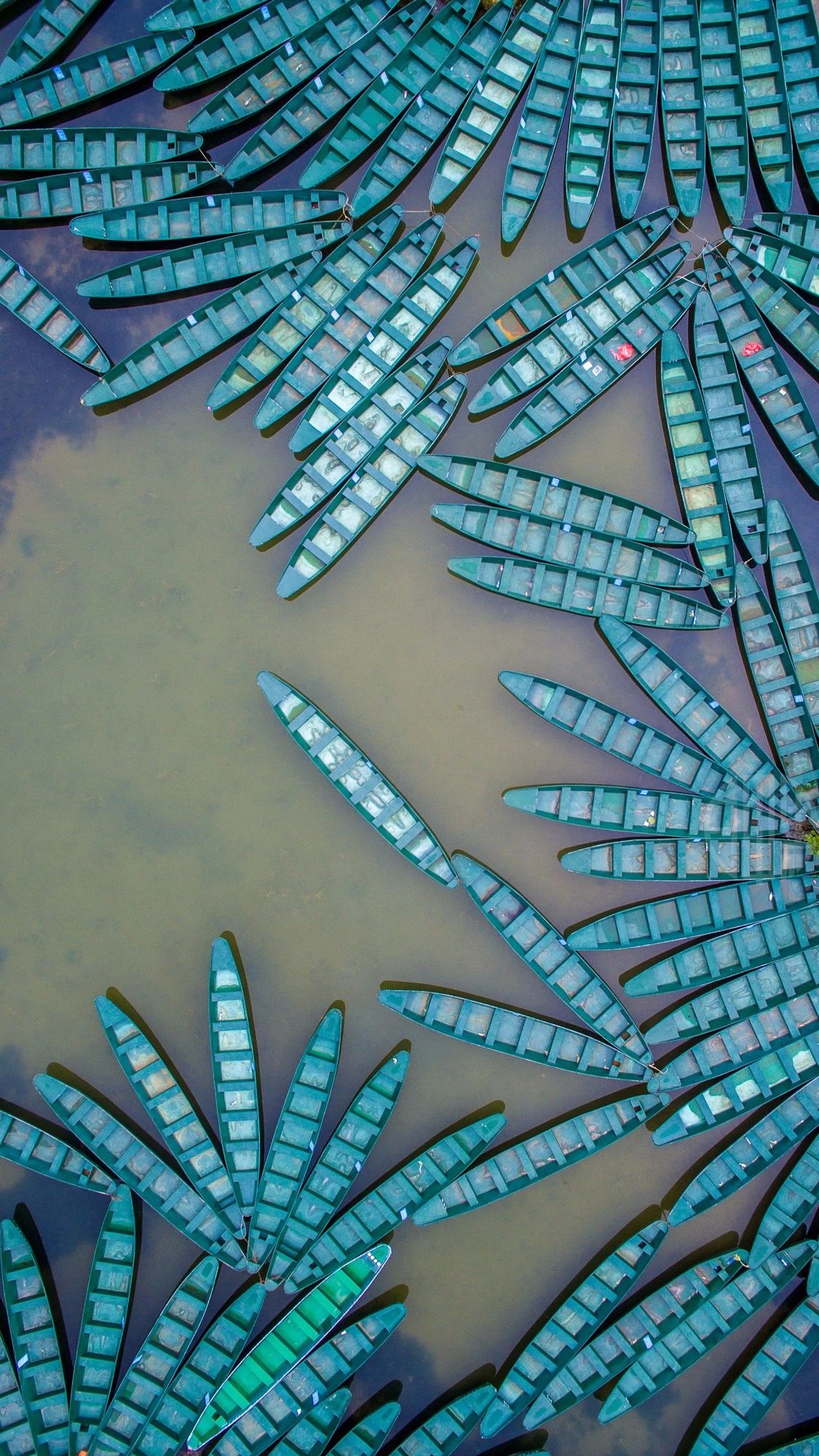 驚艷匠心啟航閱讀景：發(fā)現(xiàn)未知的美！