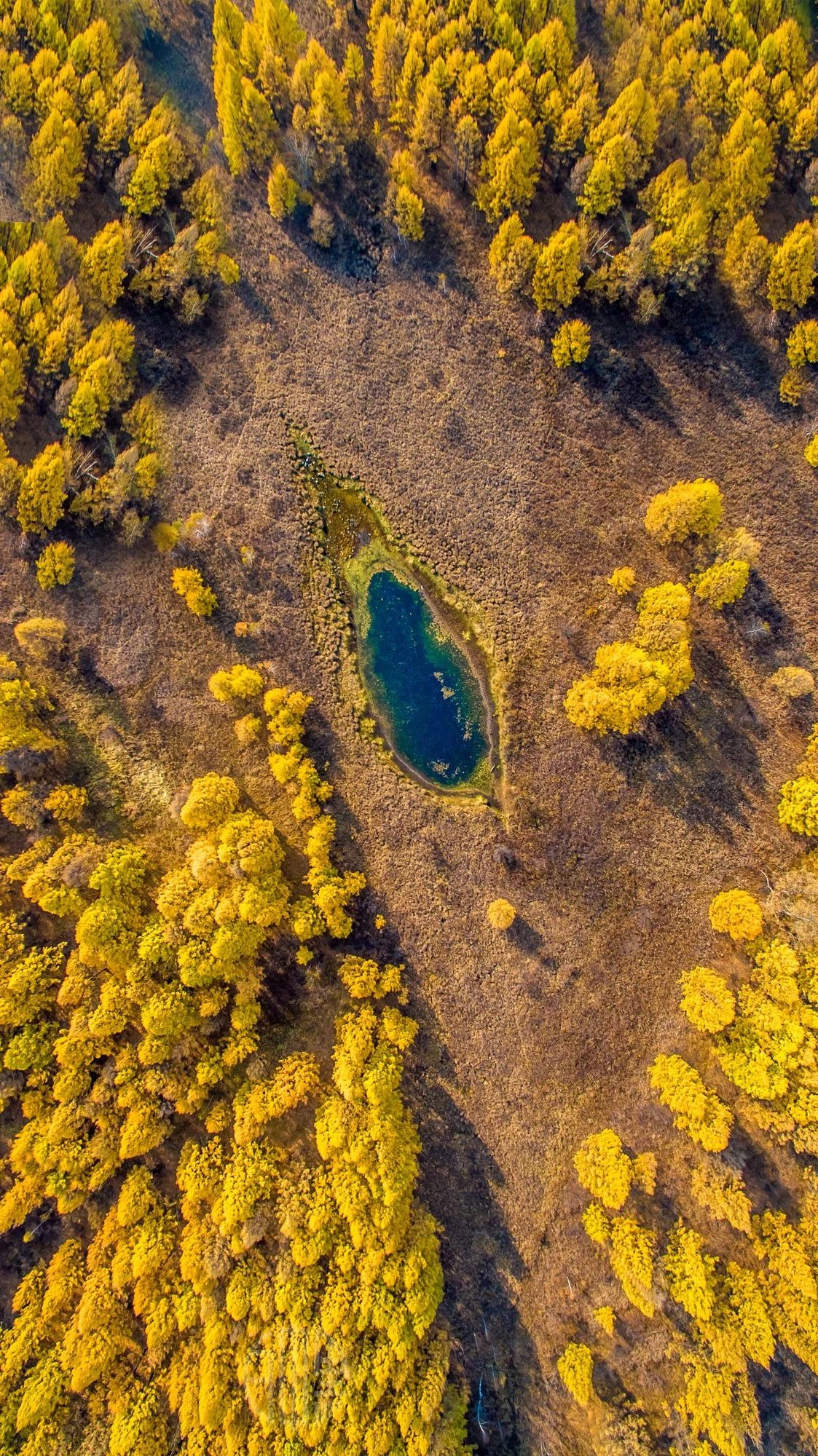 驚艷匠心啟航閱讀景：發(fā)現(xiàn)未知的美！