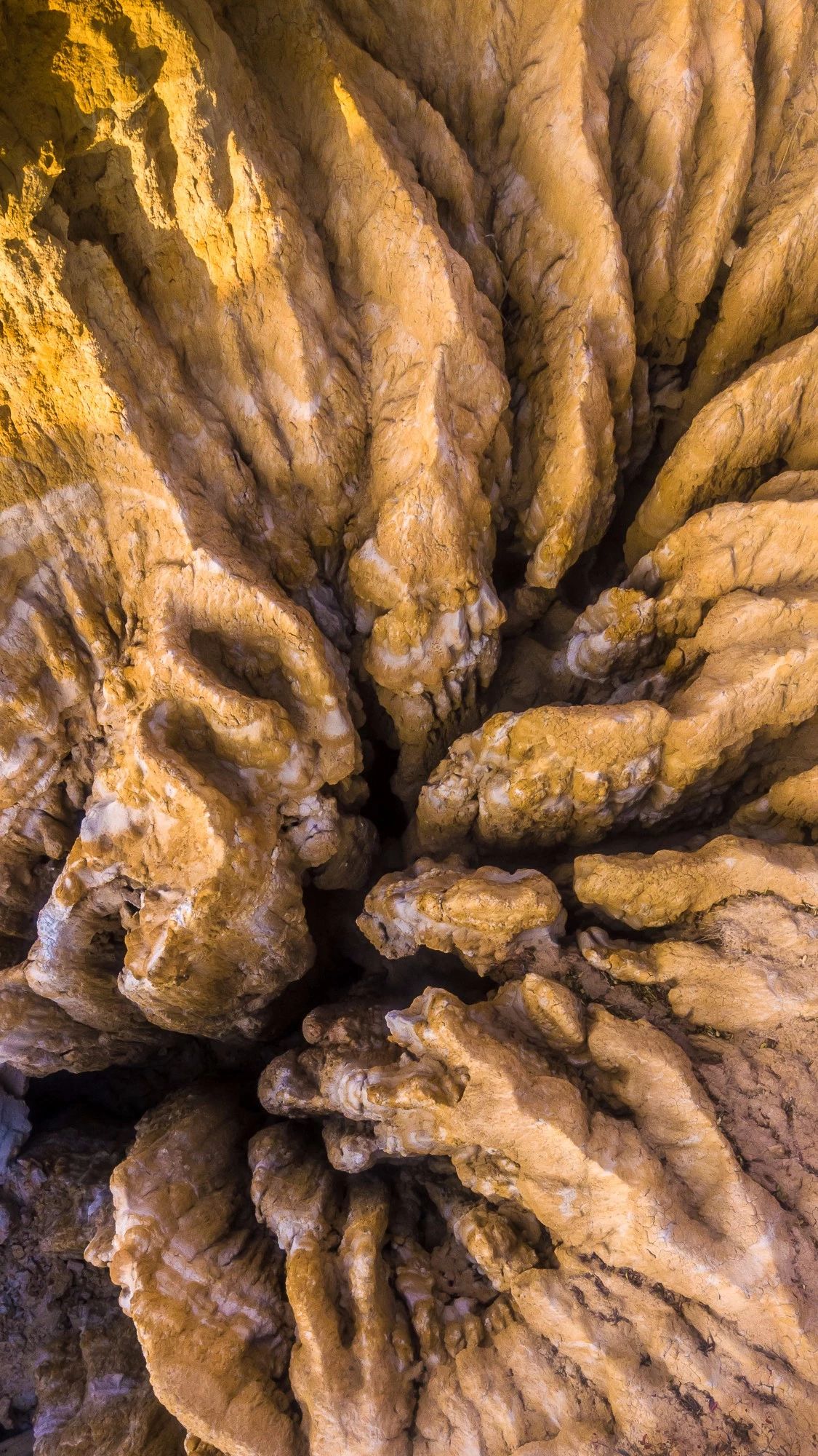 驚艷匠心啟航閱讀景：發(fā)現(xiàn)未知的美！