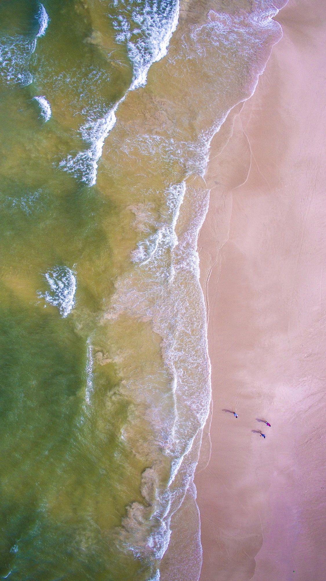 驚艷匠心啟航閱讀景：發(fā)現(xiàn)未知的美！