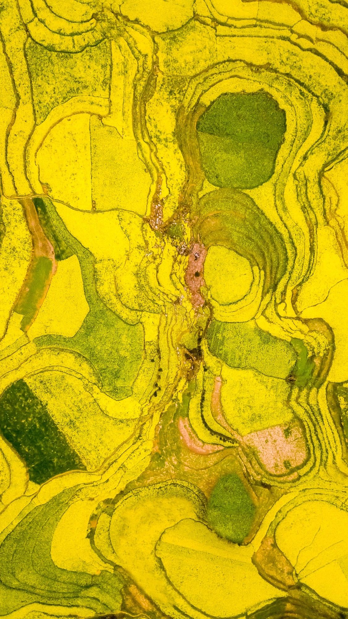 驚艷匠心啟航閱讀景：發(fā)現(xiàn)未知的美！