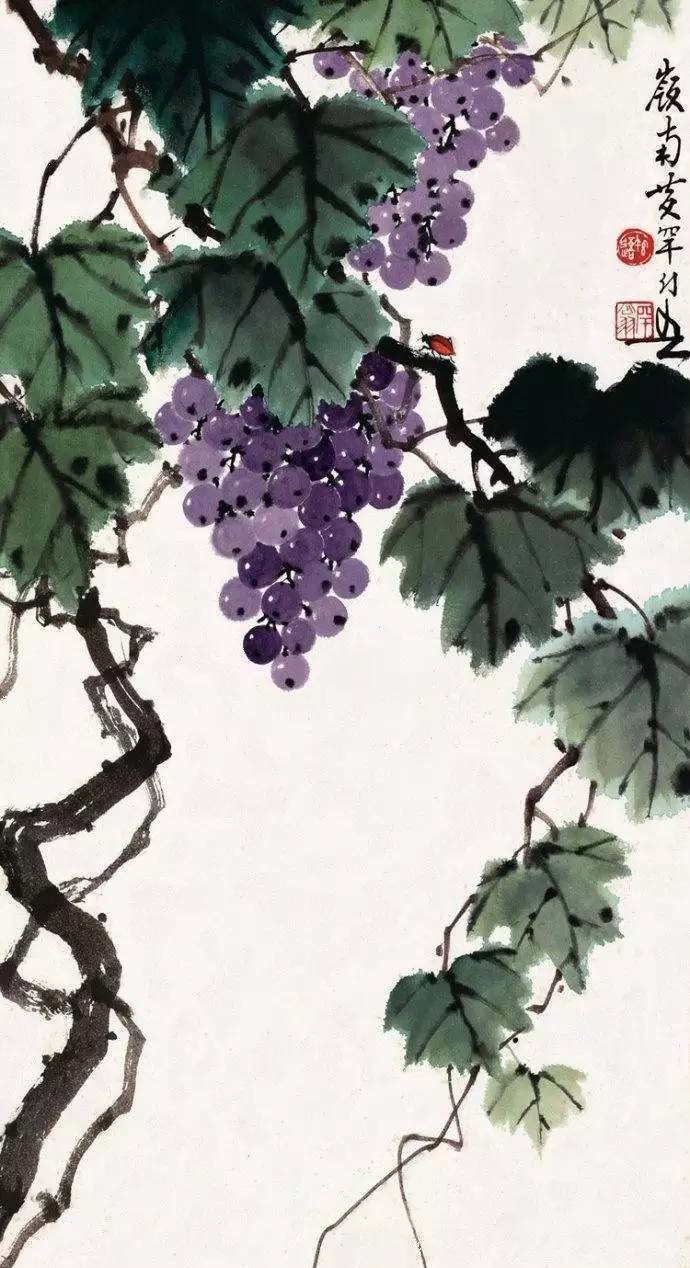 美人如葡萄，秀美如國(guó)畫(huà)！