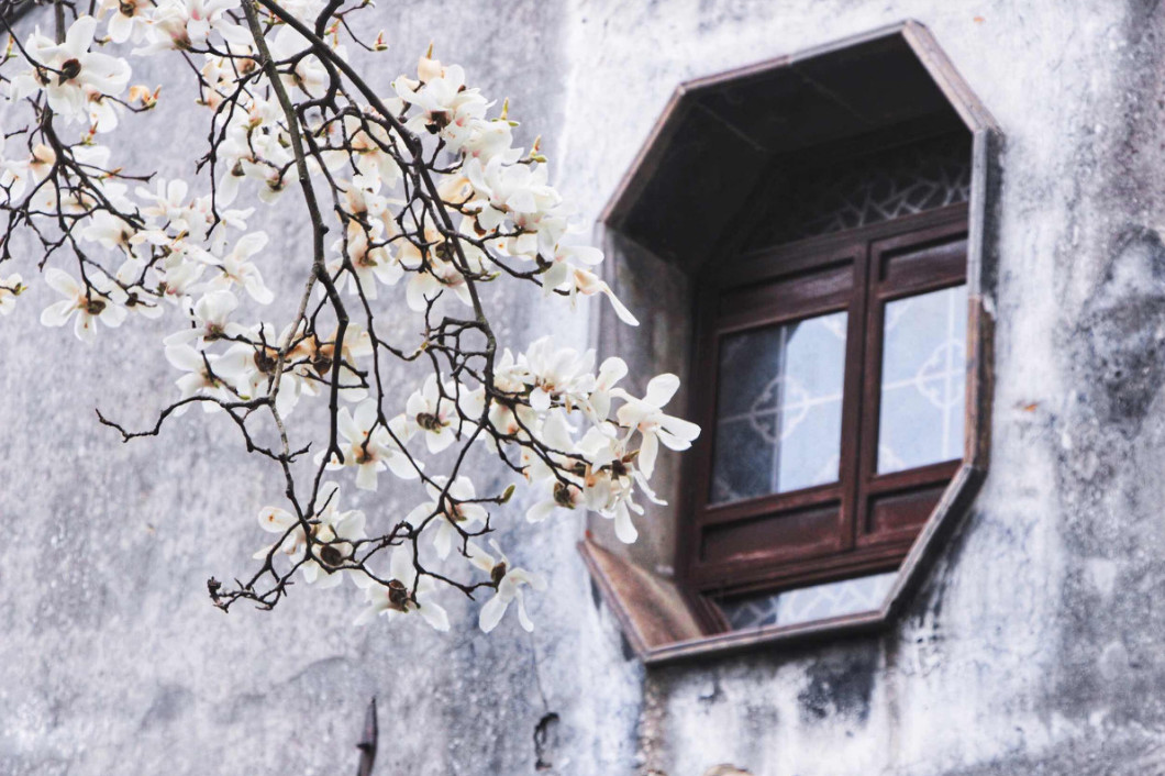 古鎮(zhèn)游玩，有一種說走就走的旅行