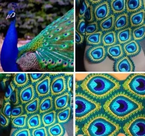 孔雀羽毛編織作品，驚艷眾人！