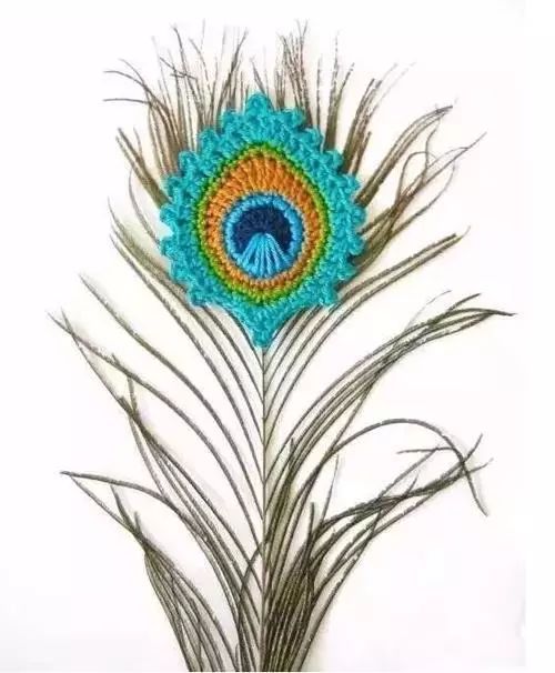 孔雀羽毛編織作品，驚艷眾人！