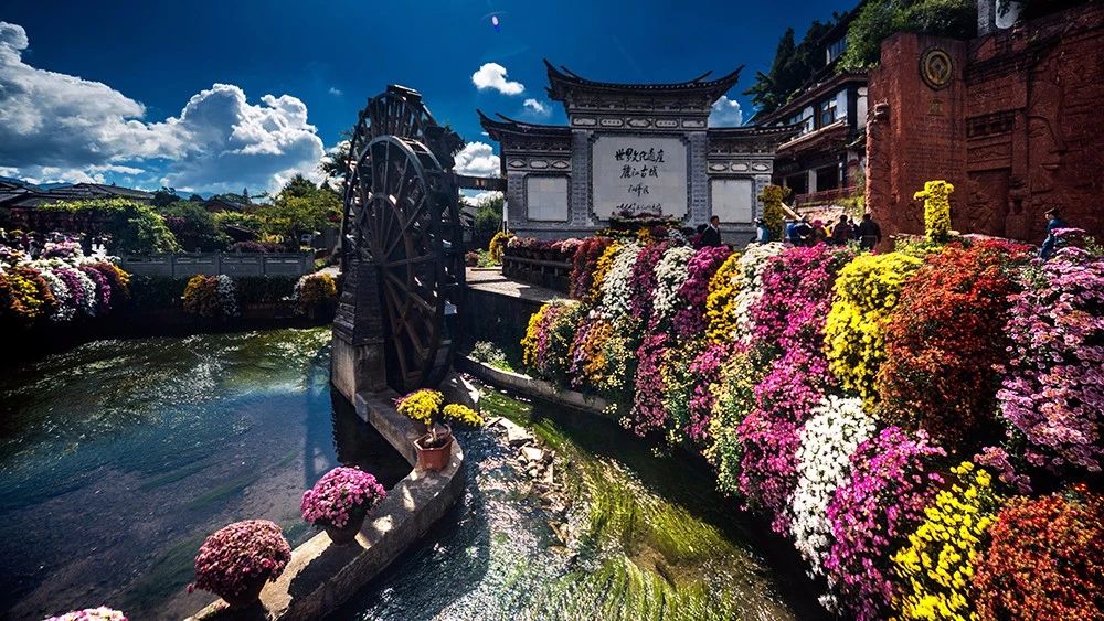 麗江·白馬里，千年古城化作最美背景