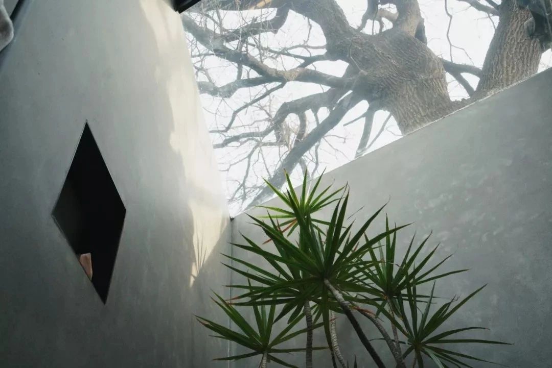 北京·有術(shù)，網(wǎng)紅建筑師青山周平的新作