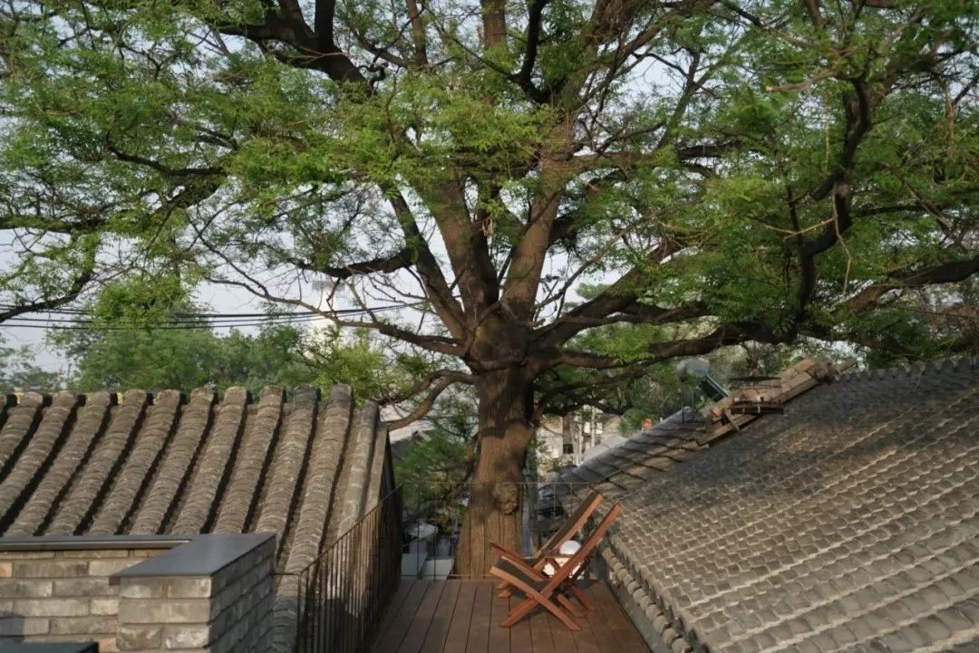 北京·有術(shù)，網(wǎng)紅建筑師青山周平的新作