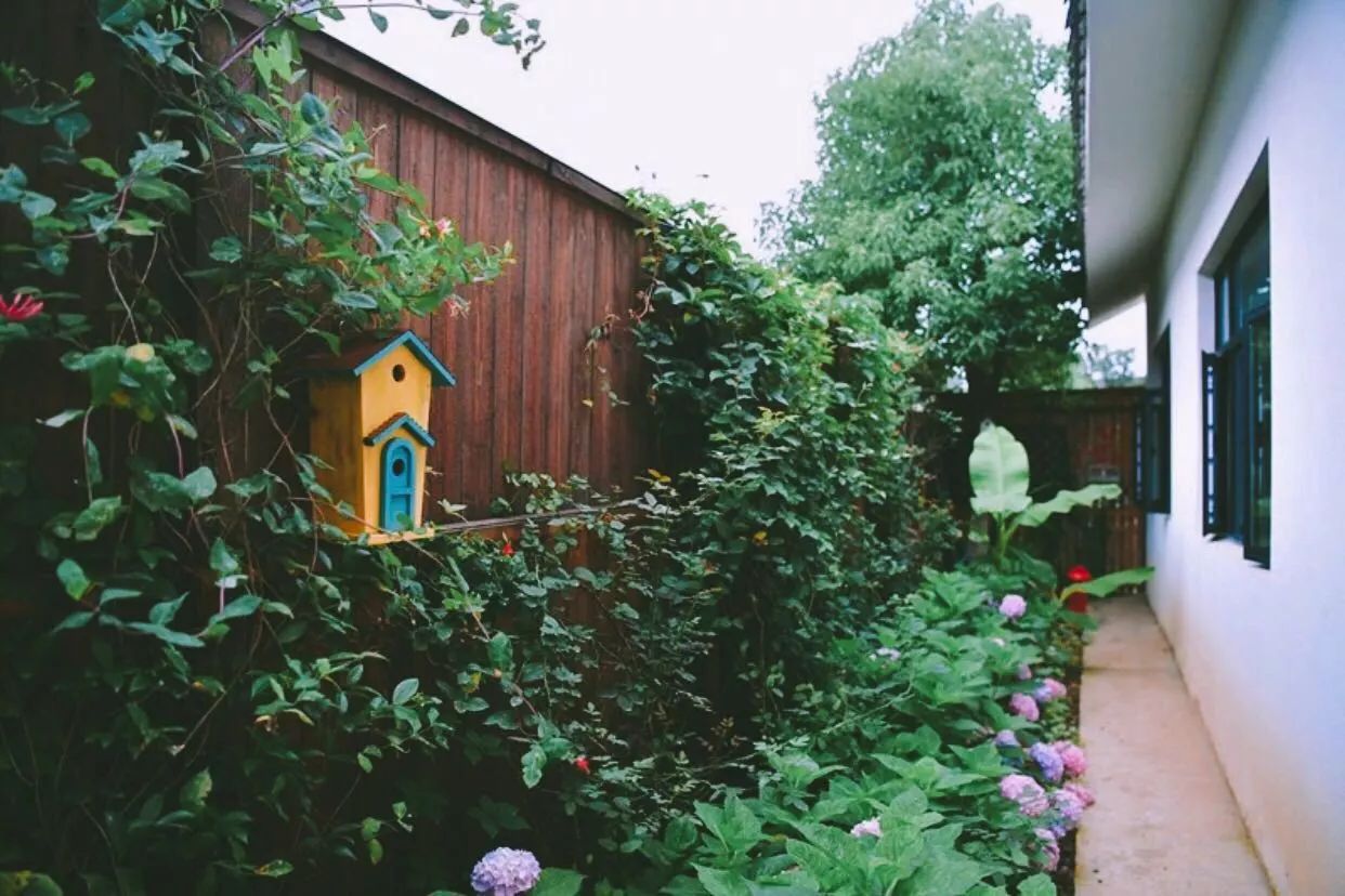 南京·悠然客棧，一方小院一杯清茶一段美好時光