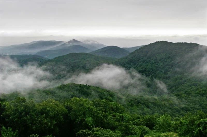 南京·悠然客棧，一方小院一杯清茶一段美好時光
