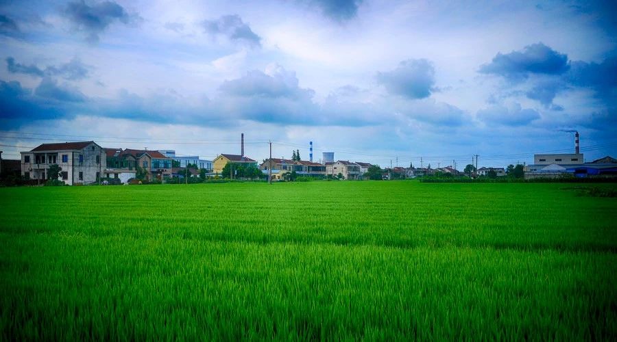 南京·悠然客棧，一方小院一杯清茶一段美好時光