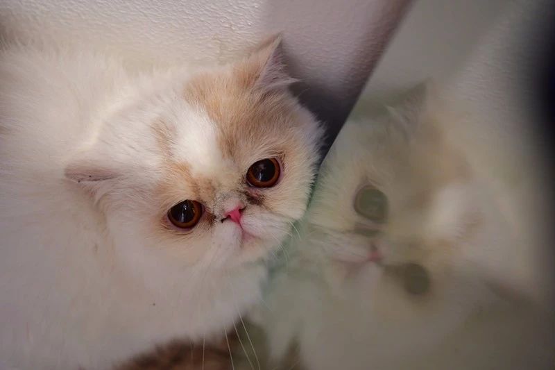 南京·悠然客棧，一方小院一杯清茶一段美好時(shí)光