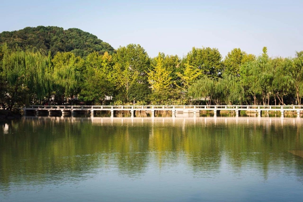 杭州·水墨蓉莊，保持一副獨(dú)立于塵世之外面孔