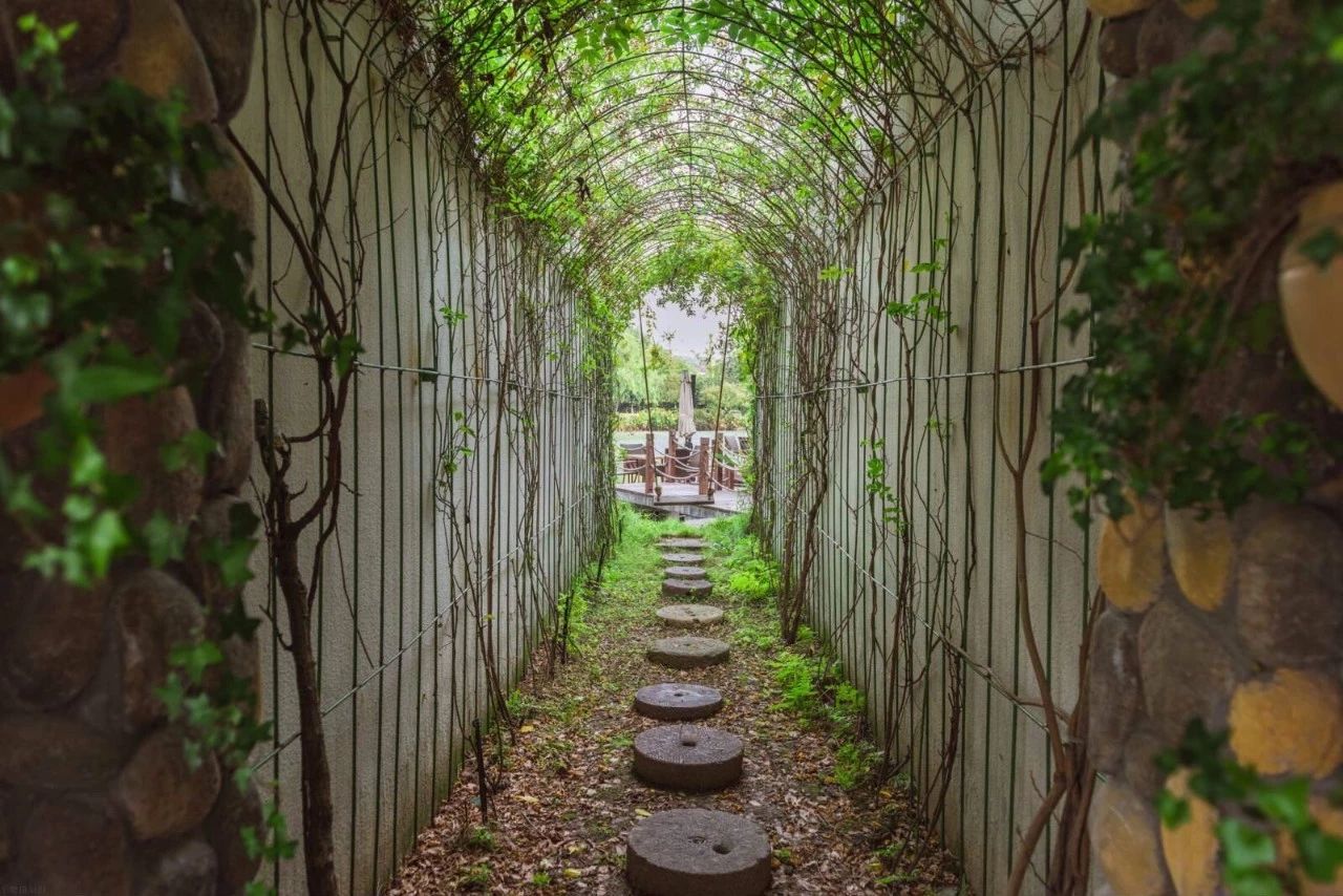 杭州·水墨蓉莊，保持一副獨立于塵世之外面孔