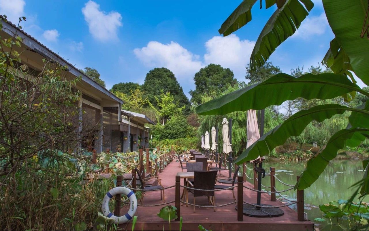 杭州·水墨蓉莊，保持一副獨(dú)立于塵世之外面孔