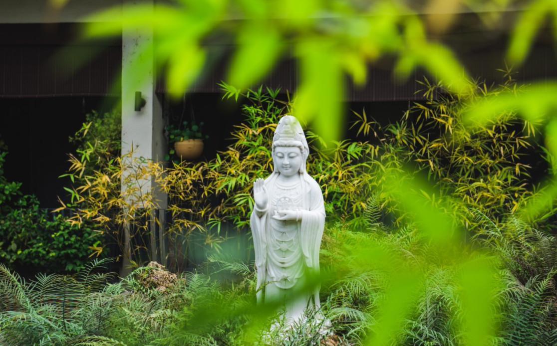 杭州·水墨蓉莊，保持一副獨(dú)立于塵世之外面孔