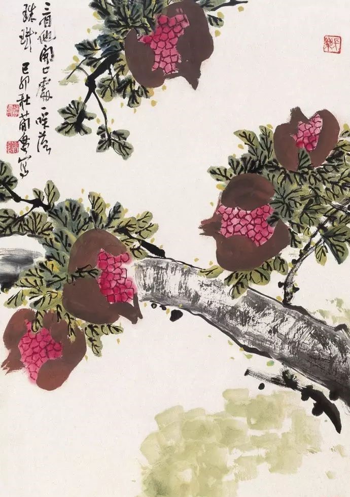 32幅曹簡(jiǎn)樓國(guó)畫(huà)石榴圖：石榴令人垂涎欲滴！