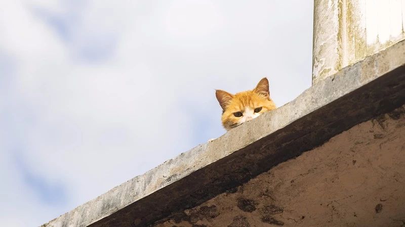 杭州·相見茶舍，若無相欠怎會相見