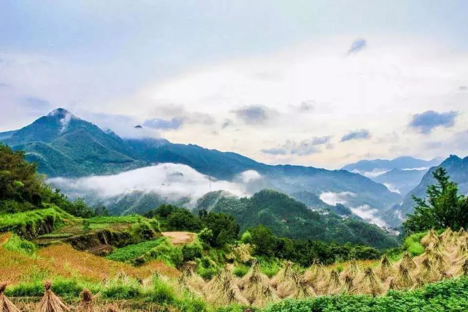 杭州·相見茶舍，若無相欠怎會相見