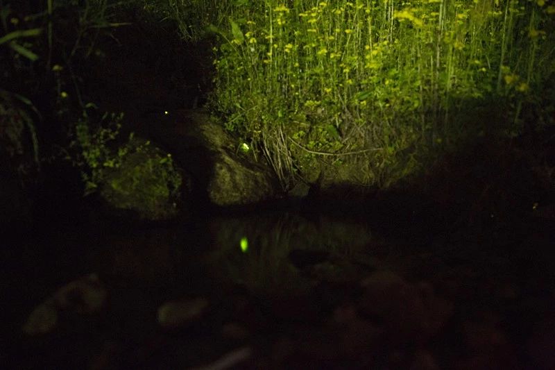 杭州·相見茶舍，若無相欠怎會相見