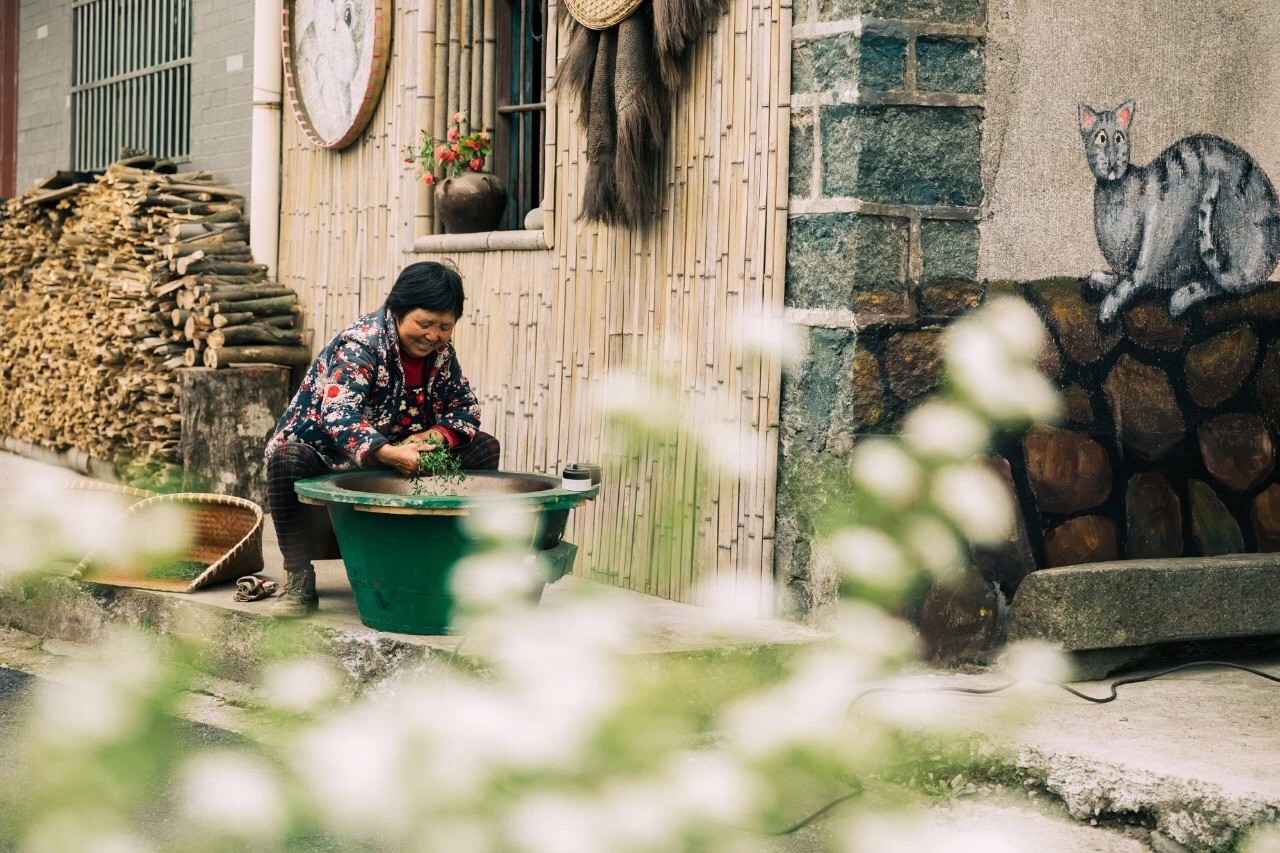 杭州·相見茶舍，若無相欠怎會相見