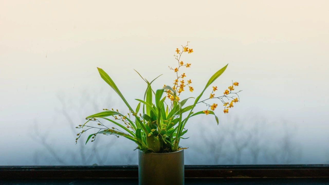 杭州·相見茶舍，若無相欠怎會相見