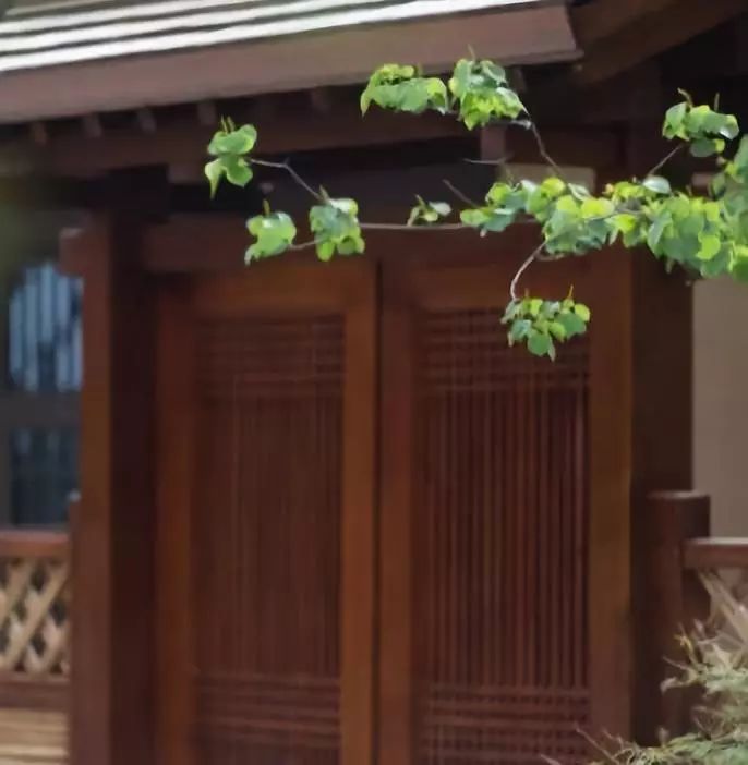 烏鎮(zhèn)悅景莊花間堂，塑烏鎮(zhèn)“秘密花園”