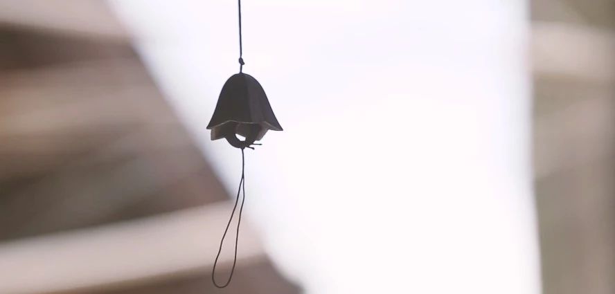 花田月舍·五月，最好的年紀(jì)找到內(nèi)心的歸屬感