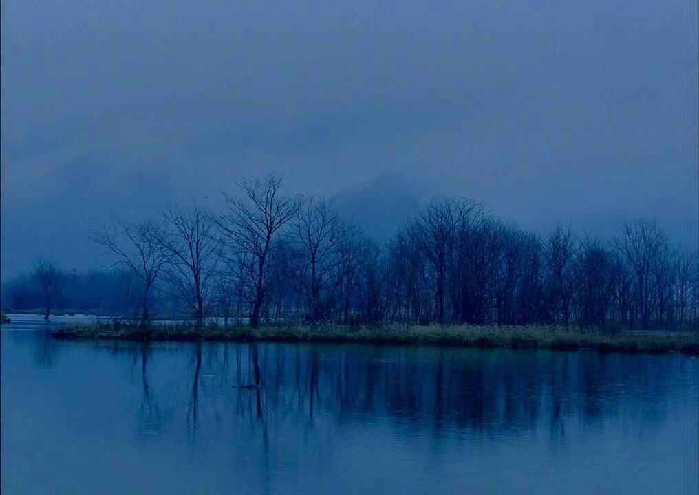 西顧·望城山居，闖入仙境等待一場花開的心動(dòng)