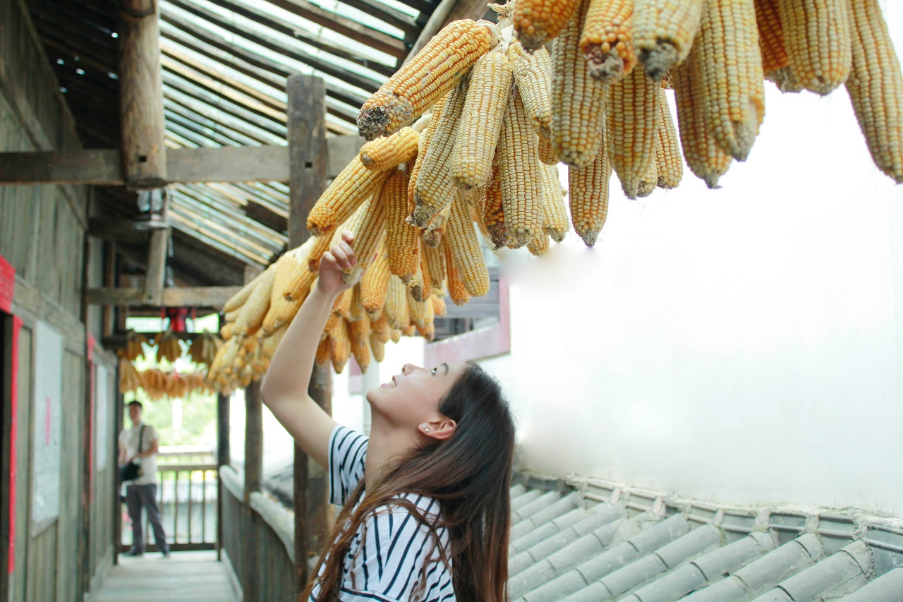 西顧·望城山居，闖入仙境等待一場花開的心動(dòng)