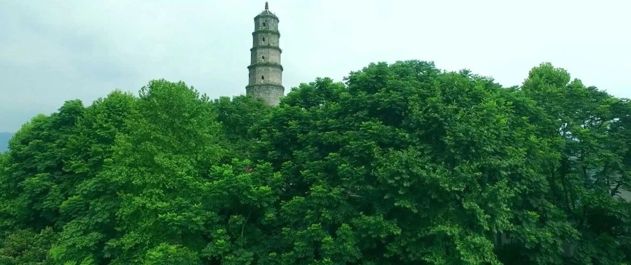 西顧·望城山居，闖入仙境等待一場(chǎng)花開的心動(dòng)