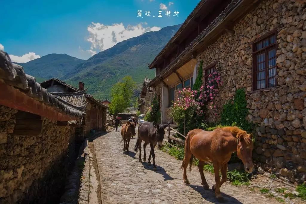 麗江·我們宿約，融入當?shù)氐奈幕罡腥久總€人