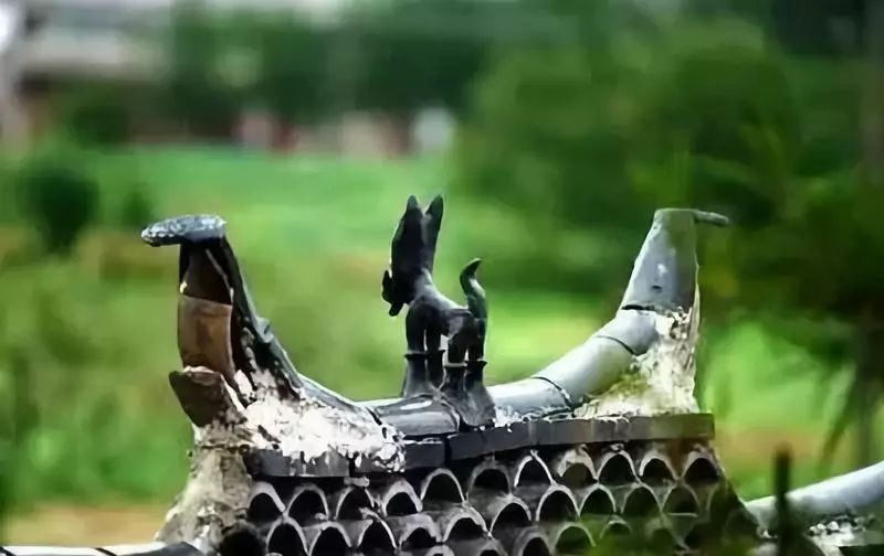 麗江·我們宿約，融入當?shù)氐奈幕罡腥久總€人