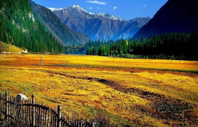 麗江·我們宿約，融入當?shù)氐奈幕罡腥久總€人